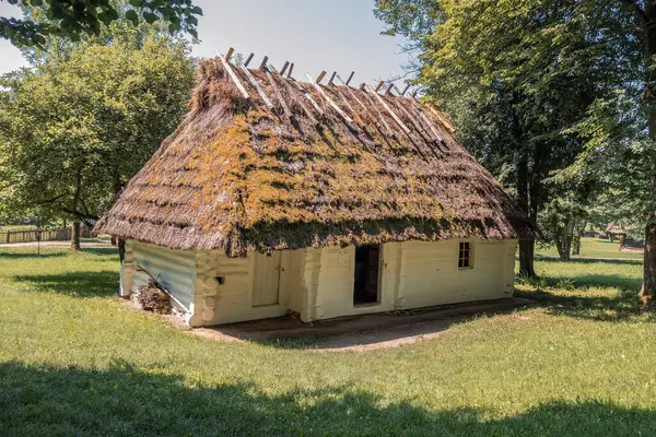 Köy Müzesi 'nde çatısı Thatch olan eski ahşap bir ev.