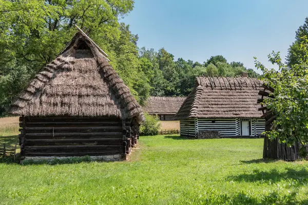 Doğa ile çevrili Kırsal Açık Hava Müzesinde Geleneksel Thatched Kulübesi