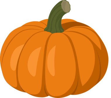 Büyük olgun bir portakal kabağı