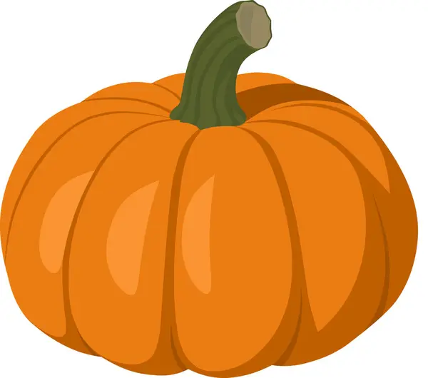 Büyük olgun bir portakal kabağı