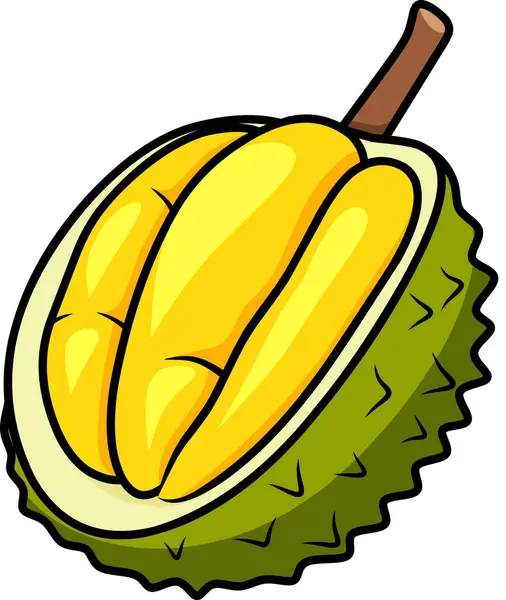 Olgun sarı bir durian soyulmuş.