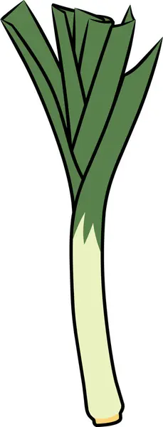 Taze bir pırasa filizi