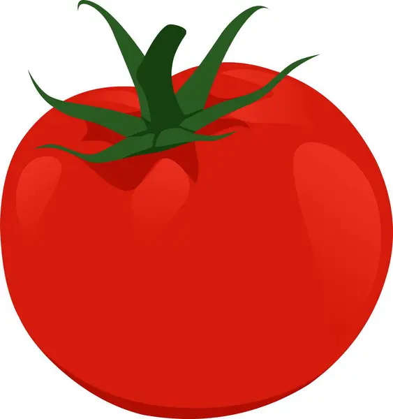 Büyük, parlak, olgun kırmızı bir domates.