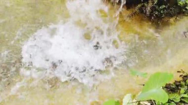 Ormanda güzel bir şelale