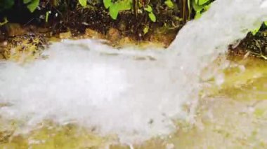 Ormanda şelale, doğa bitki örtüsü