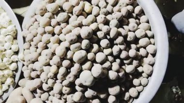 Bir kase patatesi yaklaştır. 