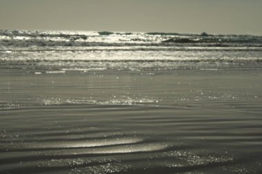 Huzurlu Okyanus Kıyısı Nazik Dalgalar ve Açık Gökyüzü
