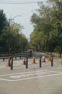 Trafik konileri ve bariyerlerin yer aldığı, yol yönetimini gösteren ağaçlarla kaplı sakin bir yol manzarası.