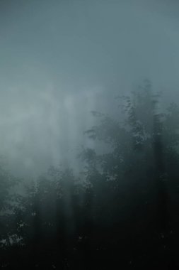 Yumuşak, sisli bir pencereden çekilen sisli bir atmosfer. Sadece ağaçların belli belirsiz silueti görünüyor. Bulanık etki gizemli ve sakin bir hava yaratıyor. Kapalı alanla açık hava arasındaki çizgiyi bulanıklaştırıyor..