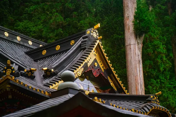 Nikko, Japonya - 12 Ağustos 2024: Toshogu Tapınağı 'nın verimli yeşil ormanlarla çevrili dekoratif çatısı, karmaşık mimari detaylar ve işçilik sergileniyor, doğa ve tasarım arasındaki uyumu yakalıyor.