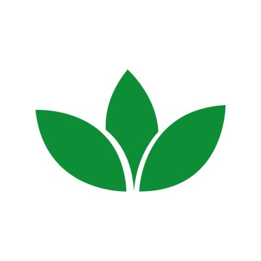 Yaprak simgesi illüstrasyon element tasarımı