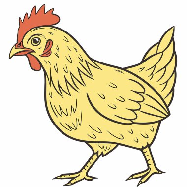 beyaz arka planda tavuk olan çizgi film horozu.