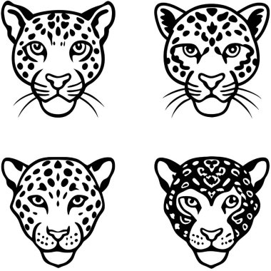 Leopar kafası, kaplan, kaplan seti. vektör illüstrasyonu.