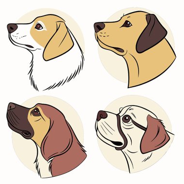 Farklı pozlarda şirin köpekler..