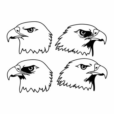 Kartal baş vektör illüstrasyonu.