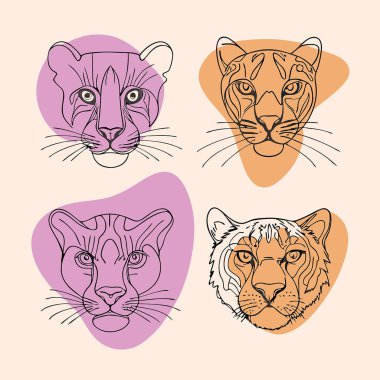 Kaplan başlı vektör kümesi farklı şekillerde.