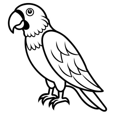 Şirin bir papağan ya da papağanın siyah beyaz renkli sayfası.