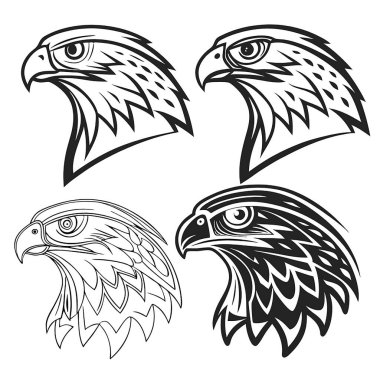 Tüylü kartal kafası.