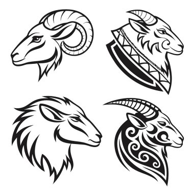 Keçi kafası ve keçi kafasının vektör çizimi.