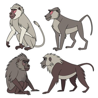 Çizgi film maymunu. vektör illüstrasyonu