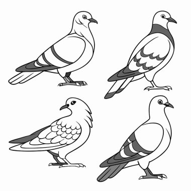 Bir dizi siyah beyaz kuş.