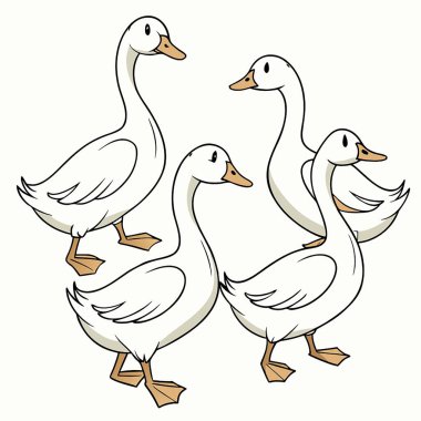 Üç beyaz kaz çizgi filmi