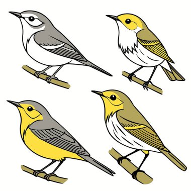 Kuş çizgi film vektör çizimi seti