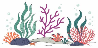 yosun, yosun, yosun ve deniz yosunlarıyla mercan kayalıkları. Denizdeki su altı bitkileri.