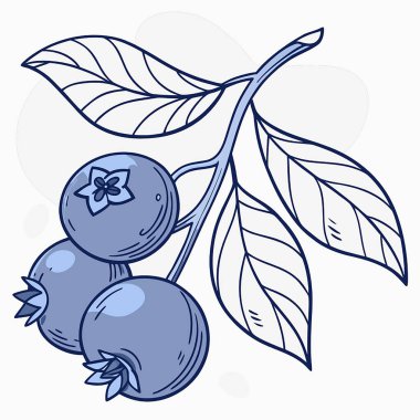 yaban mersinli vektör dalı