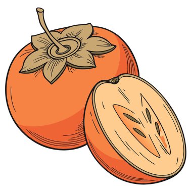 kabak meyvesi ve çekirdek vektör çizimi
