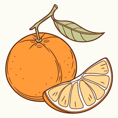 Yapraklı ve dilimli portakal vektör illüstrasyon tasarımı
