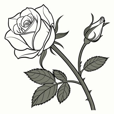 Zarif tasarım Güzel suluboya, çiçekler, araçlar, yiyecek, elektronik