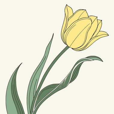 Zarif tasarım Güzel suluboya, çiçekler, araçlar, yiyecek, elektronik