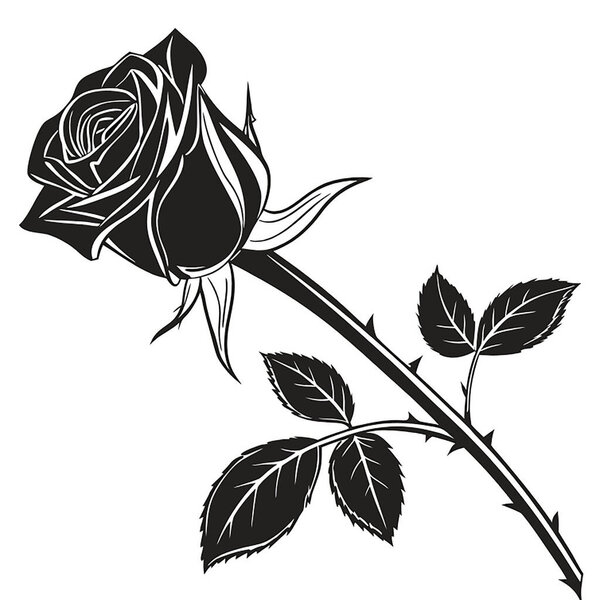 элегантный дизайн красивые акварели, цветы, транспортные средства, продукты питания, электроника