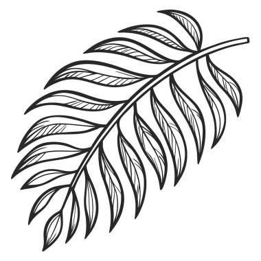 Yaprakların siyah ve beyaz çizimi.