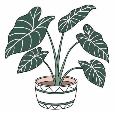Saksı bitkisi yaprağı izole edilmiş simge