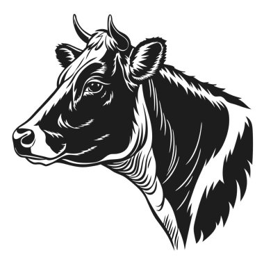 Bir sosyal medya post tasarımı