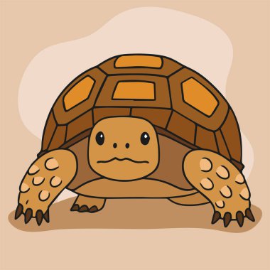 Sulcata Kaplumbağa Logo Vektör Resim Öngörünümü