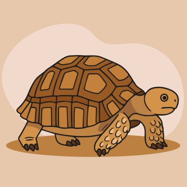 Sulcata Kaplumbağa Logo Vektör ResmiName