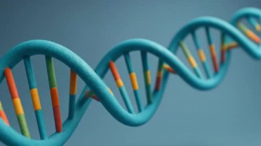 Renkli DNA Çift Sarmal Döndürme Genetik Bilim Animasyonu