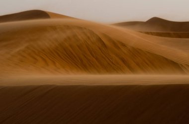Rüzgar Umman Çölü 'nü A' Sharqiyah Sands yakınlarında esiyor.