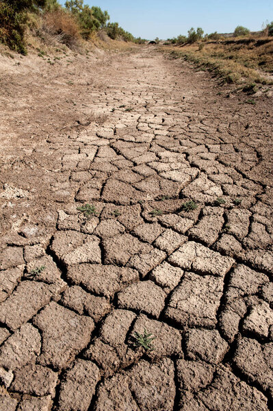 глобальное потепление в Басре, Ирак. 31 октября 2018