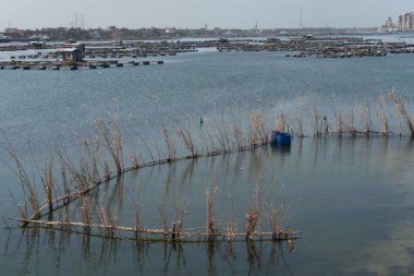 Reed balığı, Nil nehri, Rosetta, Mısır 'daki Rashid balık çiftliklerinin yakınında tipik bir balık avlama metodu.. 