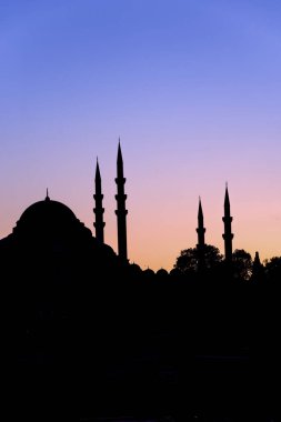 İslam Camii 'nin siyah ve beyaz silueti, İstanbul' un minareleri ve kubbeleri, Türkiye. 