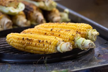 Lezzetli ızgara mısır, popüler bir Türk sokak yiyeceği İstanbul, Ankara ve Bodrum gibi Türk kentlerindeki satıcıların sokak arabaları ve tezgahlarından pişirilip satılıyor. 