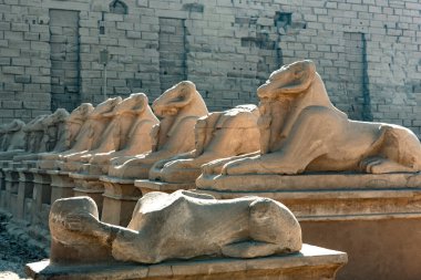 Karnak Tapınağı 'nın girişinde Sfenks Bulvarı, Koç başlı heykeller ve Aslan gövdesi, 30. Hanedan' dan kalma antik Mısır simgeleri ve sembolleri var. Eski Mısır arkeolojisi Luxor, Mısır. 