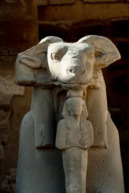 Karnak Tapınağı 'nın girişinde Sfenks Bulvarı, Koç başlı heykeller ve Aslan gövdesi, 30. Hanedan' dan kalma antik Mısır simgeleri ve sembolleri var. Eski Mısır arkeolojisi Luxor, Mısır. 