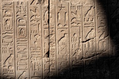 Eski Mısır taş kartuş hiyeroglif kabartma detayı Karnak Tapınağı, Luxor 'da. Mısır. 