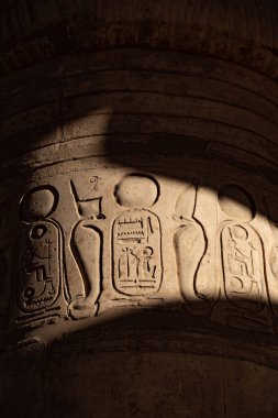 Ramesseum 'dan hiyeroglif yardım detayları, Mısır Firavunu 2. Ramses' in anıt tapınağı, Nil 'in Batı Şeria' sı, Luxor, Yukarı Mısır 'daki Theban Necropolis' in bir parçası.. 