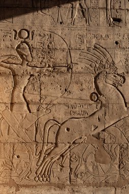 Ramesseum 'dan hiyeroglif yardım detayları, Mısır Firavunu 2. Ramses' in anıt tapınağı, Nil 'in Batı Şeria' sı, Luxor, Yukarı Mısır 'daki Theban Necropolis' in bir parçası.. 